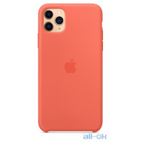 Чохол Apple iPhone 11 Pro Silicone Case Clementine (Orange)